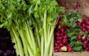 Desregulación en la huerta: Derogan una norma sobre envasado que tenía 90 años