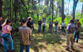 La producción orgánica en la provincia de Misiones creció 8,5% y las exportaciones aumentaron 28% en el último año