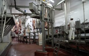 El Municipio de Apóstoles impulsa un sistema de faena seguro, accesible y con control sanitario