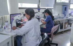 Con 150 mil pacientes y casi 700 mil determinaciones, el Laboratorio del Hospital Madariaga se consolida como impulsor del diagnóstico público en Misiones