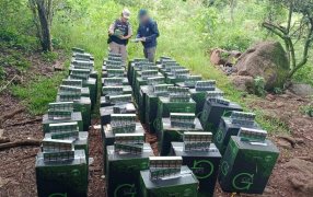 Prefectura Naval Argentina secuestró cigarrillos de contrabando en la provincia de Misiones