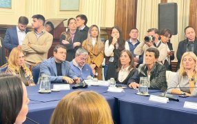 El Diputado Nacional por Misiones Herrera Ahuad participó de la constitución del Grupo Parlamentario de Amistad con Venezuela