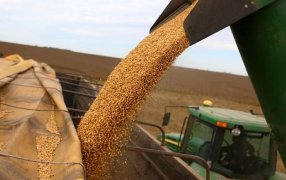 La economía argentina creció 0,7% en el primer trimestre de 2026: Cuáles fueron los sectores que impulsaron la actividad
