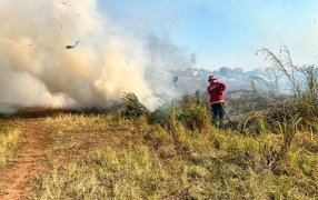 Fuertes vientos y negligencias mantienen en alerta a los Bomberos de la Policía de Misiones, ya realizaron más de 20 intervenciones