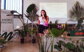 Expo Jardín Misiones 2025: Una articulación público-privada para fortalecer la cultura verde de la provincia