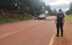 San Antonio: Un árbol cayó sobre un automóvil en la Ruta Nacional 101 y el conductor fue hospitalizado
