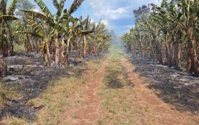 Almafuerte: Sofocaron un incendio, personal policial trabajó para extinguir las llamas, logrando controlar la situación y evitar su propagación