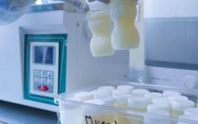 Misiones: Convocatoria solidaria del Banco Provincial de Leche Humana del Hospital Materno Neonatal