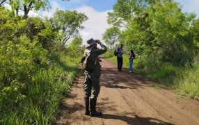 La provincia de Misiones se suma al Gran Día de Observación de Aves 2026: La propuesta se realiza dos veces al año