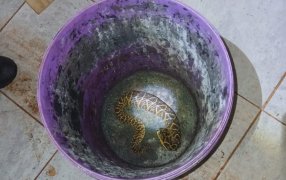 Apóstoles: La División Bomberos de la Unidad Regional VII,  especializada en el manejo de fauna silvestre rescataron una serpiente dentro de una vivienda