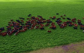 El “delirio” de la tasa al metano de la Diputada K Lucía Klug: Una respuesta con datos y base científica