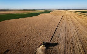 La actividad económica repuntó en Marzo tras la fuerte caída de Febrero, según un informe privado