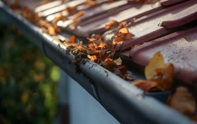 Llegó el otoño y Amanco Wavin comparte siete consejos para limpiar las canaletas