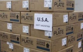 El año de los récords: ¿Cómo hizo la carne vacuna para lograr su mayor ingreso de divisas de la historia?