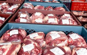 De la Cuota Hilton al cupo a Estados Unidos: Nuevas reglas de juego para exportaciones de carne