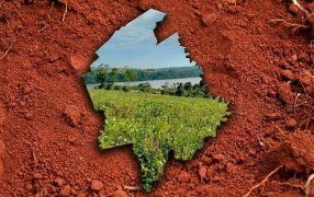 La provincia de Misiones suma una herramienta clave para planificar su producción: Presentaron la Cartografía Semidetallada de Suelos de Guaraní