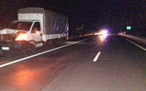 Santa Ana: Un camión impactó contra un animal vacuno que se desplazaba sobre la Ruta Nacional N° 12