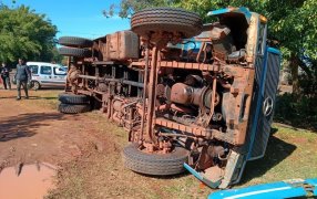 Apóstoles: Un camión que transportaba doce animales vacunos se habría quedado sin frenos, despistó y terminó volcando, el conductor resultó ileso