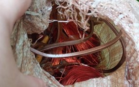 La Policía de Misiones frustró el traslado de cobre y bronce robados y mantiene cercado al sospechoso en el monte