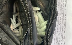 La Policía de Misiones, en las ciudades de Puerto Iguazú y Oberá incautan riñoneras las cuales contenían drogas fraccionada