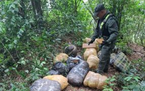 Veinte bultos conteniendo marihuana se encontraban acopiados en el monte: Se trataron de casi 190 kilos secuestrados por Gendarmería Nacional