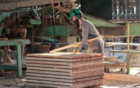 Misiones: Crisis en las PyMEs madereras, la caída de la construcción golpea a la foresto industria