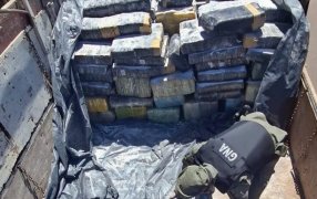 Gendarmería Nacional secuestró nueve toneladas y media de marihuana