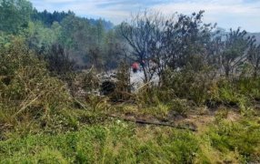 Un fallecido al incendiarse una camioneta tras despistar sobre la Ruta Provincial Nº 103 en el Municipio de Mártires, sería un reconocido empresario del transportes de la ciudad de Oberá