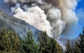Emergencia en la provincia de Chubut: El calor extremo y el viento reactivaron los incendios forestales