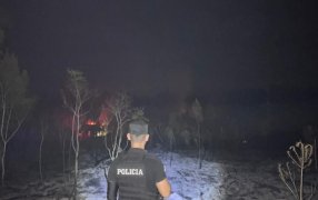 Principio de incendio en una plantación de pinos en el Municipio misionero de Aristóbulo del Valle, continúan las tareas para determinar cómo se originó el fuego