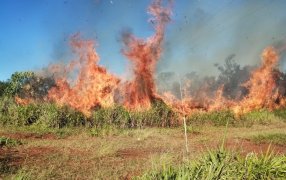 Incendio de malezas en la zona del Peaje de San Ana, frente a la Reserva Federal Campo San Juan, sobre la Ruta Nacional N° 12