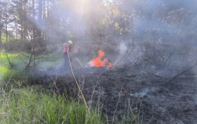 Incendio de malezas sobre Ruta Nacional N° 12 a la altura del Municipio misionero de Santa Ana: ras el despliegue de una línea devanadera, el fuego fue sofocado evitando su propagación
