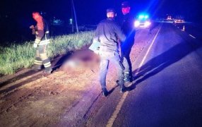 Jardín América: Un peatón fue embestido sobre la Ruta Nacional 12, como consecuencia del impacto perdió la vida en el lugar