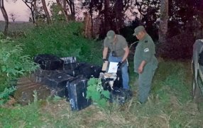 Misiones: Más de una tonelada de marihuana estaba escondida entre la maleza, el hallazgo se produjo en una zona cercana a la localidad de 9 de Julio