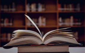 habla cotidiana: Rastrean el origen de frases como "agarrate Catalina" o "tirar manteca al techo"