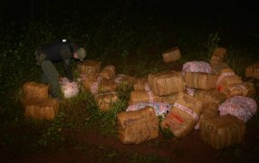 Incautación de marihuana en Misiones por parte de Gendarmería Nacional