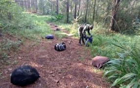 Gendarmes frustraron millonario contrabando de marihuana: Un grupo de personas abandonó el estupefaciente al ser sorprendido por una patrulla de la Gendarmería Nacional