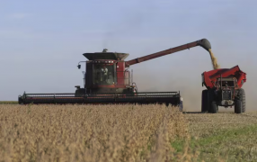 Con impulso del consumo y la inversión, la economía creció 3,9% en el tercer trimestre del año