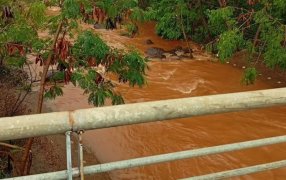 Posadas: Pusieron a resguardo a una menor de 13 años y un adolescente de 16 años que habían sido arrastrados por un arroyo en el Barrio de Itaembé Guazú