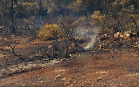 El cambio climático hizo que la práctica del rozado con uso del fuego genere cada vez más peligro y menos beneficios para el productor