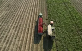 El Gobierno Nacional anunció baja temporal de retenciones a principales cultivos y la eliminación para economías regionales