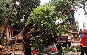 Amplio despliegue policial por daños ocasionados por el temporal en varias ciudades y localidades de la provincia de Misiones