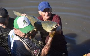 Apóstoles: Cosecha de peces a pie de estanque en el Municipio, una experiencia imperdible en Semana Santa