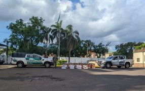 Gendarmería Nacional incautó importante cantidad de cigarrillos