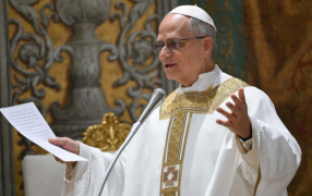 León XIV a los cardenales: "Debemos dar testimonio de nuestra fe gozosa en Cristo"