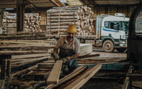 El motor del NEA: La provincia de Misiones concentra el mayor volumen de créditos al sector productivo