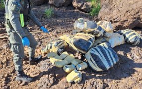 Gendarmería Nacional secuestró 322 kilos de marihuana, el estupefaciente se encontraba acopiado en la ribera del Río Paraná