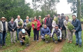 Capacitación sobre “Árboles en el yerbal”