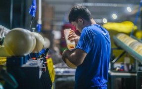 Misiones: Prorrogan el plazo de las líneas de crédito para financiamiento productivo y estarán vigentes hasta el 30 de Junio del 2025