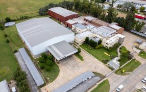 Novozymes y Chr. Hansen anuncian el nombre de la futura empresa combinada: Novonesis